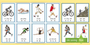 安切洛蒂：防守会是世界杯成功的关键；巴西是要去争夺冠军的